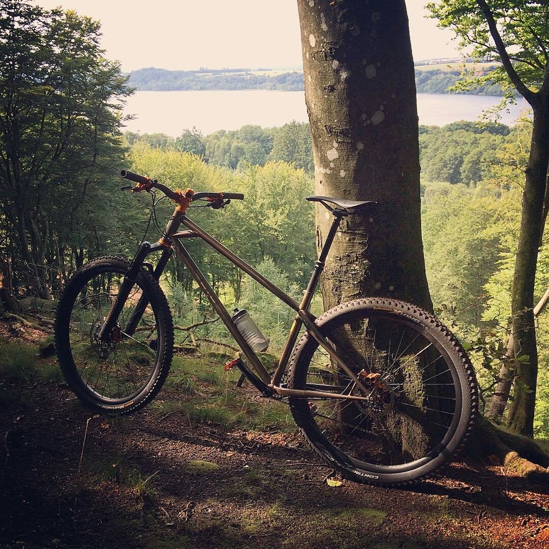 btr ranger 29er
