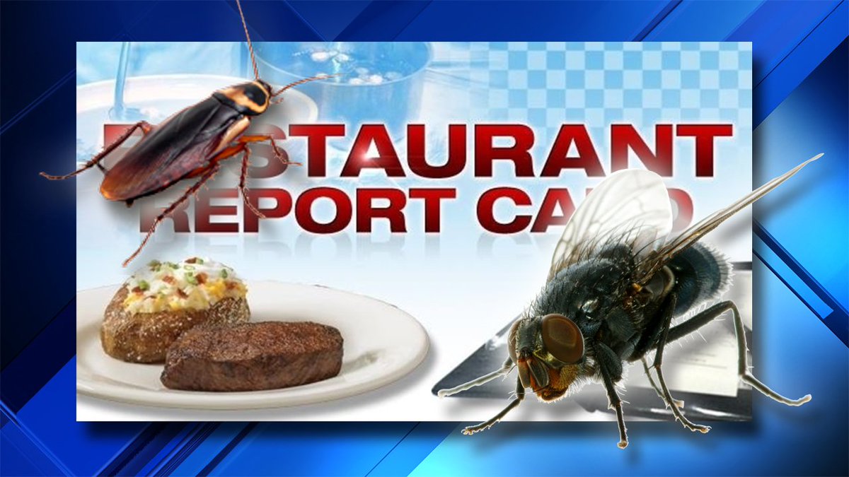 Roaches and flies force many South Florida restaurants to shut down bit.ly/2wqYobm?utm_me… https://t.co/PJT9XpRgSI