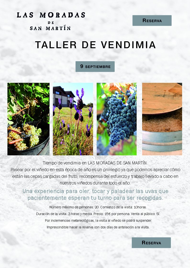 Madrid Enoturismo tweet media