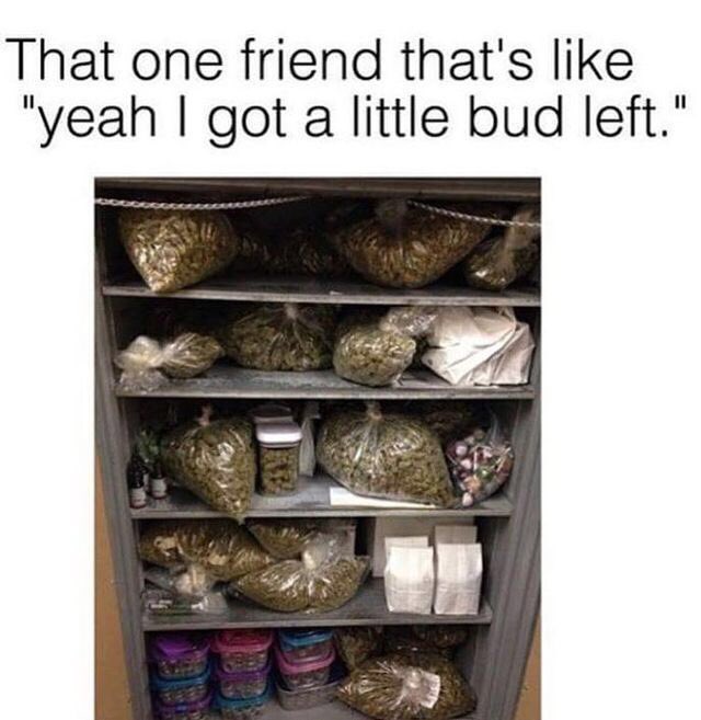 THC Network (@thcnetwork_inc) on Twitter photo 