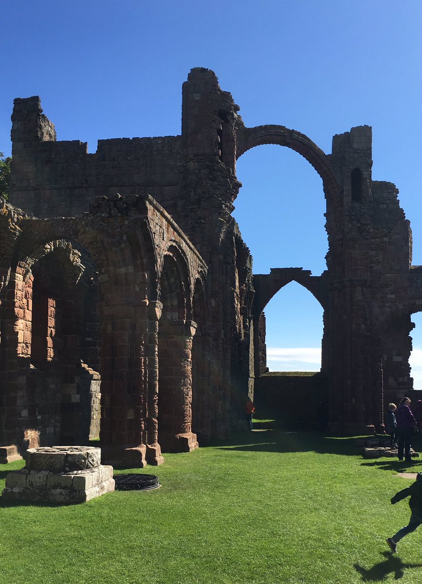 Fiona Macalister tweet media