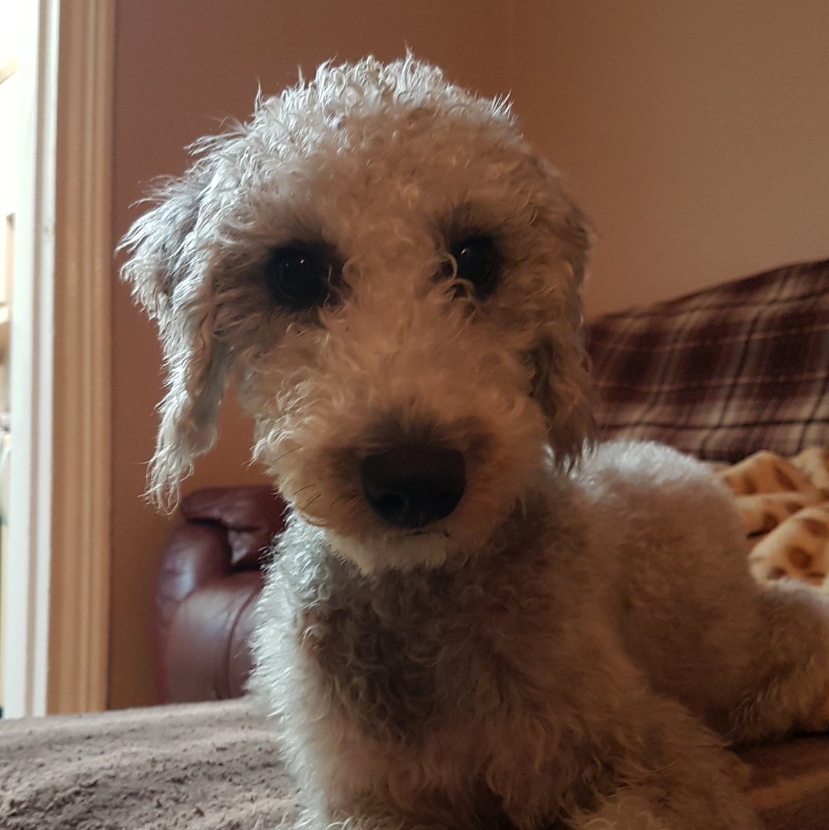 Emma Allison tweet media