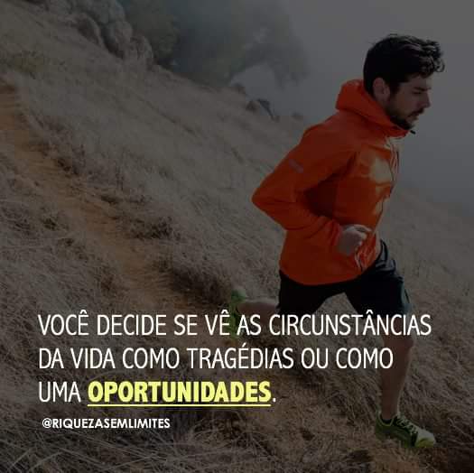 coder_costa's tweet image. #timbetalab