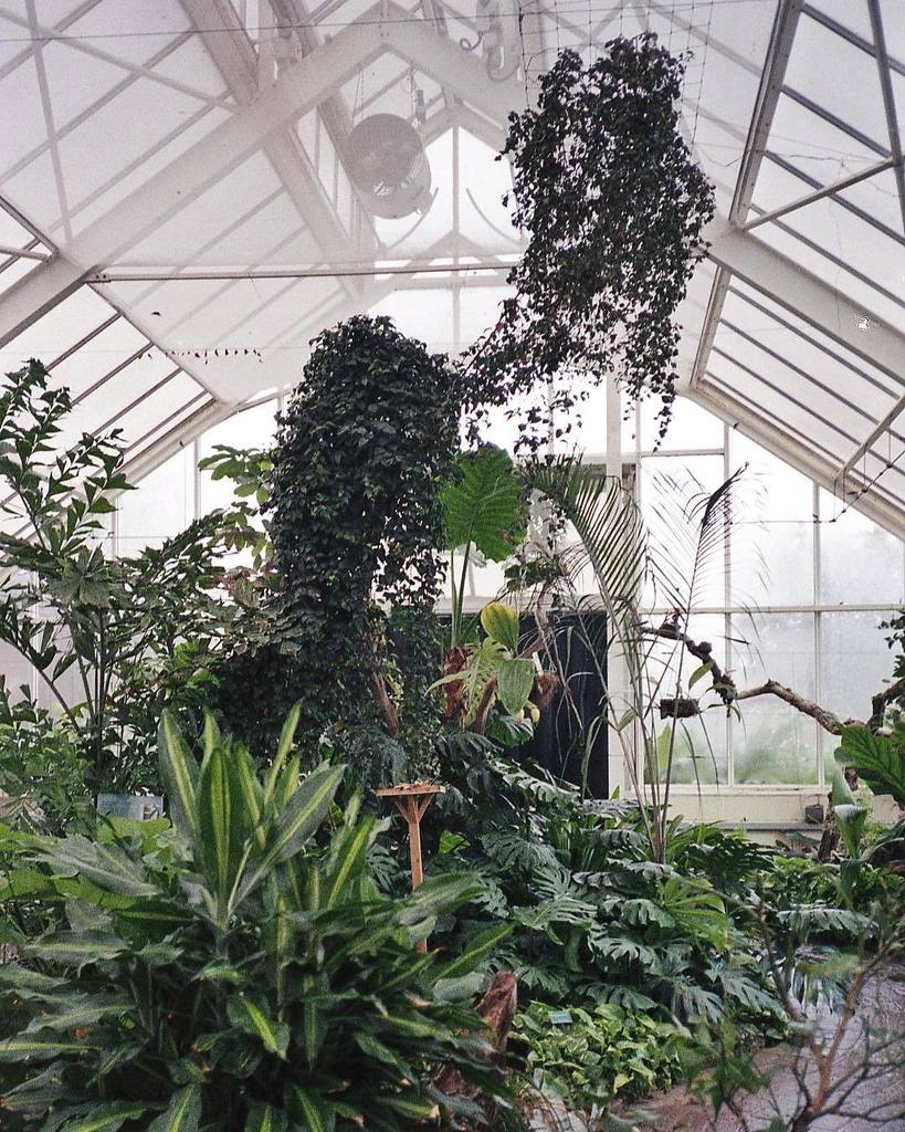 National Botanical Garden of Wales shot on film 🎞
⠀⠀⠀⠀⠀⠀⠀⠀⠀
-------
⠀⠀⠀⠀⠀⠀⠀⠀⠀
#explore #exploreeverything #adventu… ift.tt/2v6MA9D