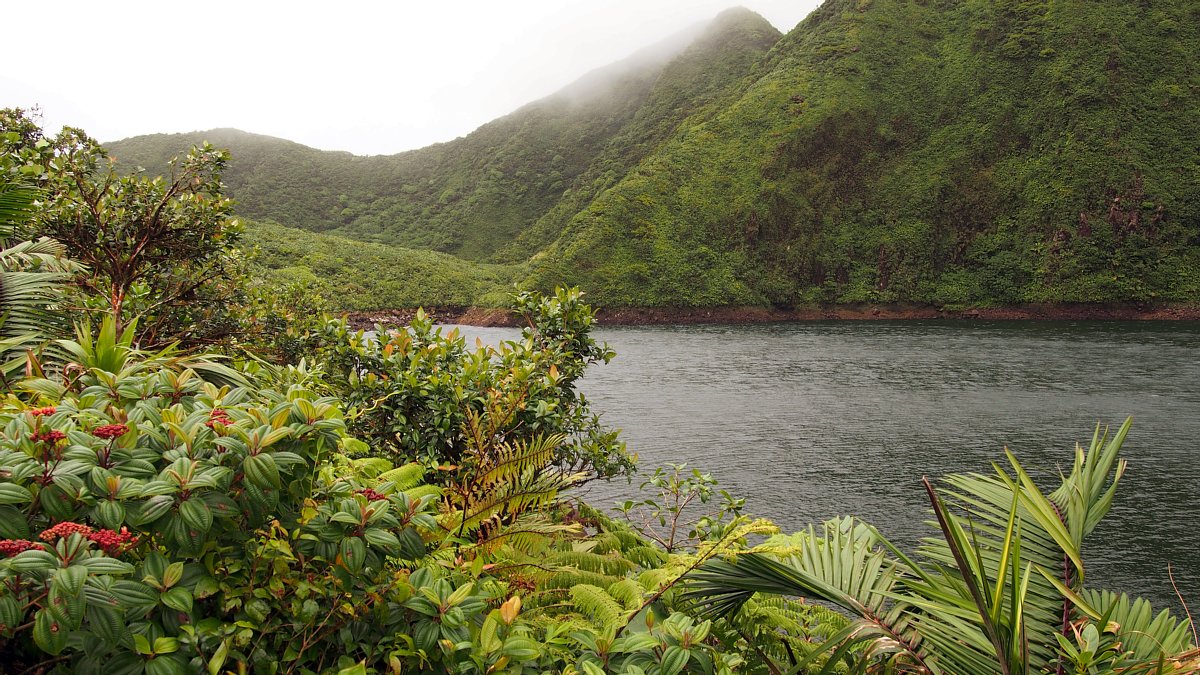 Hike to Dominica's highest crater lake and enjoy volcano and coastal views facebook.com/HikeIntoDomini… #Dominica #travel #Caribbean