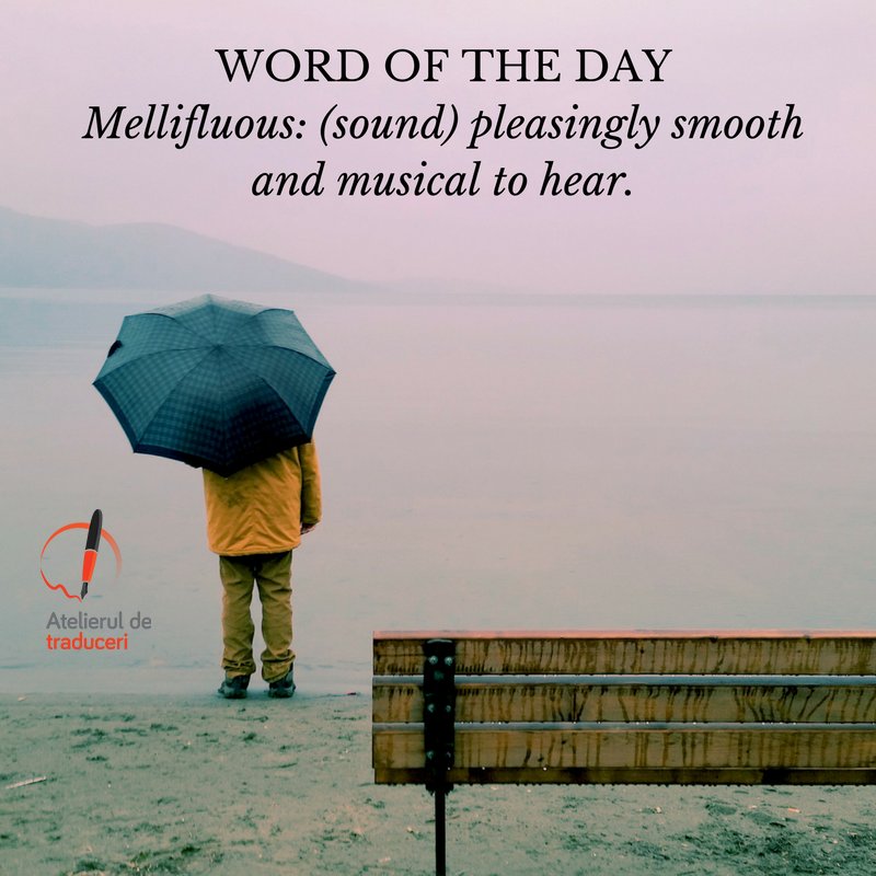 StudioTranslate's tweet image. #wordoftheday #rain #mellifluous