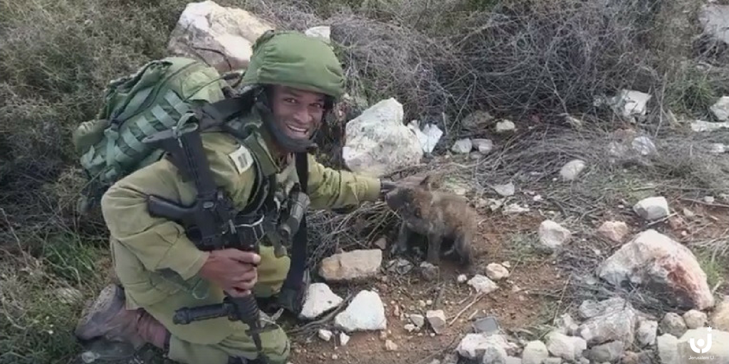 OpenDorMedia's tweet photo. "A righteous man knows the soul of his animal" (Proverbs) #mekonen #guardduty. He adopted the puppy #nationaldogday https://t.co/2qRYGyb7m0 https://t.co/7HloaNlwRZ