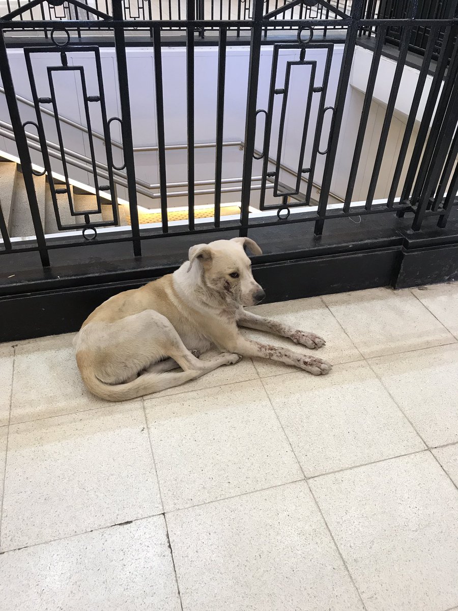 LoMakeUpStudio's tweet photo. Está en la estación de Retiro y no me lo puedo llevar! Alguien que pueda? @Lalysole @mcg1465 @ArqueroSinManos https://t.co/0vLV0YDAIB