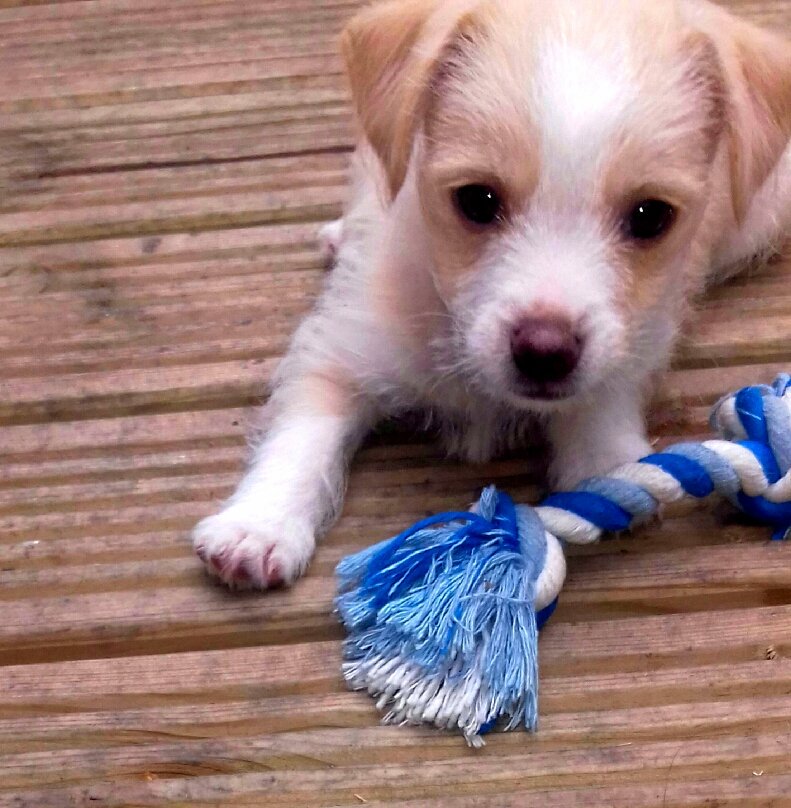 Wilson13lack's tweet photo. Playtime xx https://t.co/FCdp2xQgkx