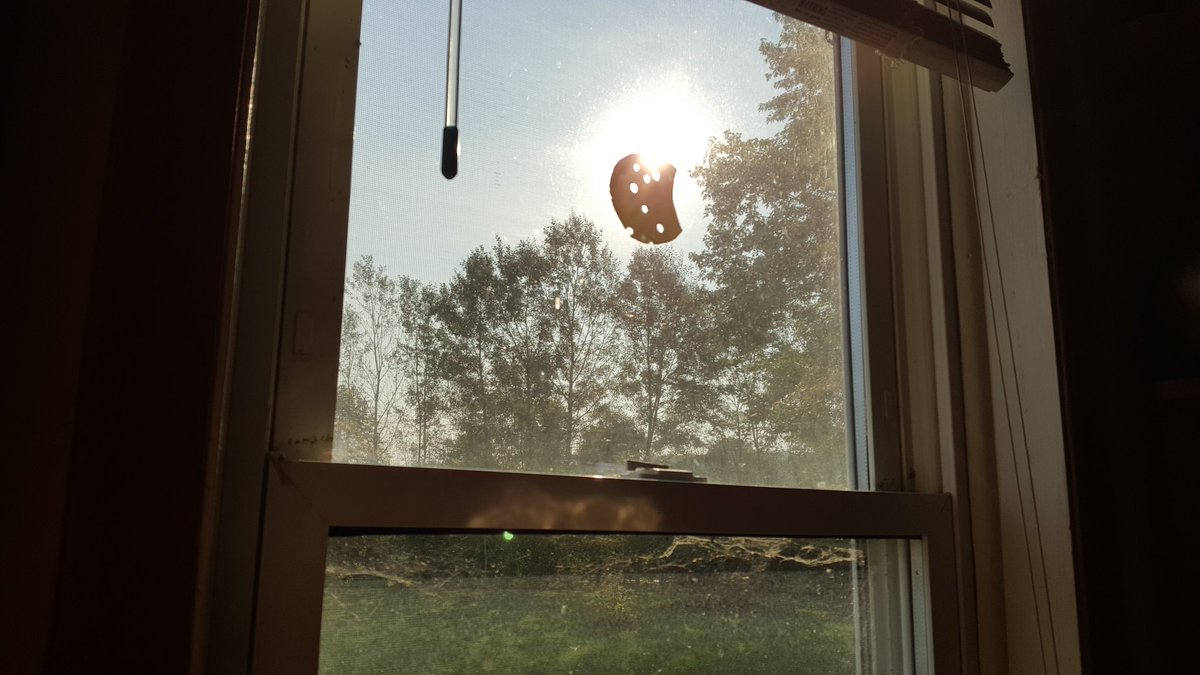 GCLibraryLady's tweet photo. The splendor!
I need to stop this ...
#SwissCheeseEclipse
#DIYEclipse
@weathernetwork
#SolarEclipse2017 https://t.co/gyY5muSvXP
