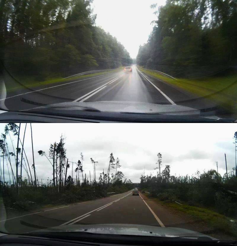 ktrebski's tweet photo. Przygnębiające...  Droga w pobliżu Rytla, zdjęcie od #PolscyŁowcyBurz https://t.co/xyGTXiswJJ
