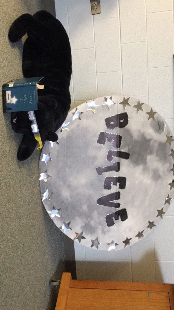 OLibraryLady's tweet photo. Roary @PrairieGrove46 is totally prepared for the eclipse! #PG46 Reads! https://t.co/PJ2uJqt04q