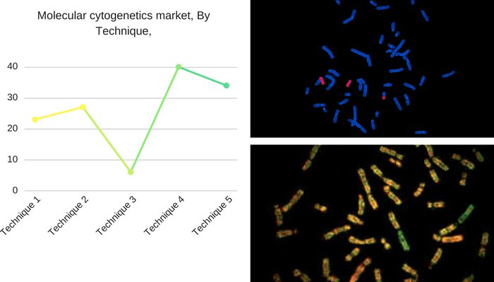 MeticulousR123's tweet image. Molecular Cytogenetics Market Worth USD 2,266.4 Million By 2022
goo.gl/i5ySAN
#molecularcytogenetics #molecularcytogeneticsmarket