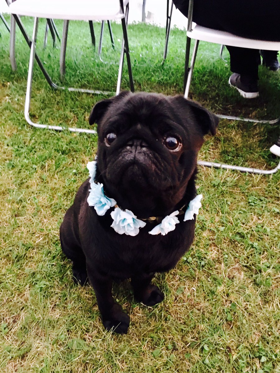 Frank💕💘💓💗💖