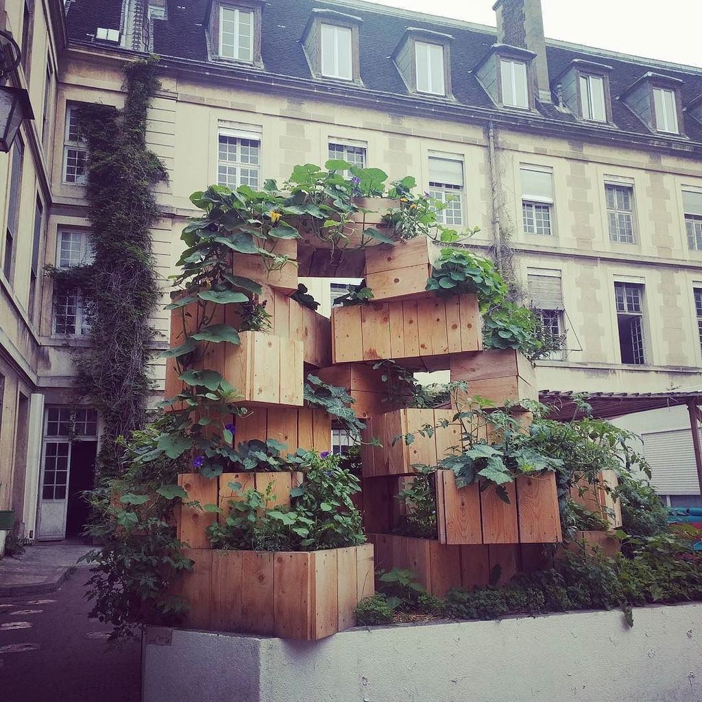 WorklabParis's tweet image. La tour d'agriculture urbaine dans la cour Robin prend des allures de jungle ! #worklabparis #lesgrandsvoisins #ag… ift.tt/2fYfFkU