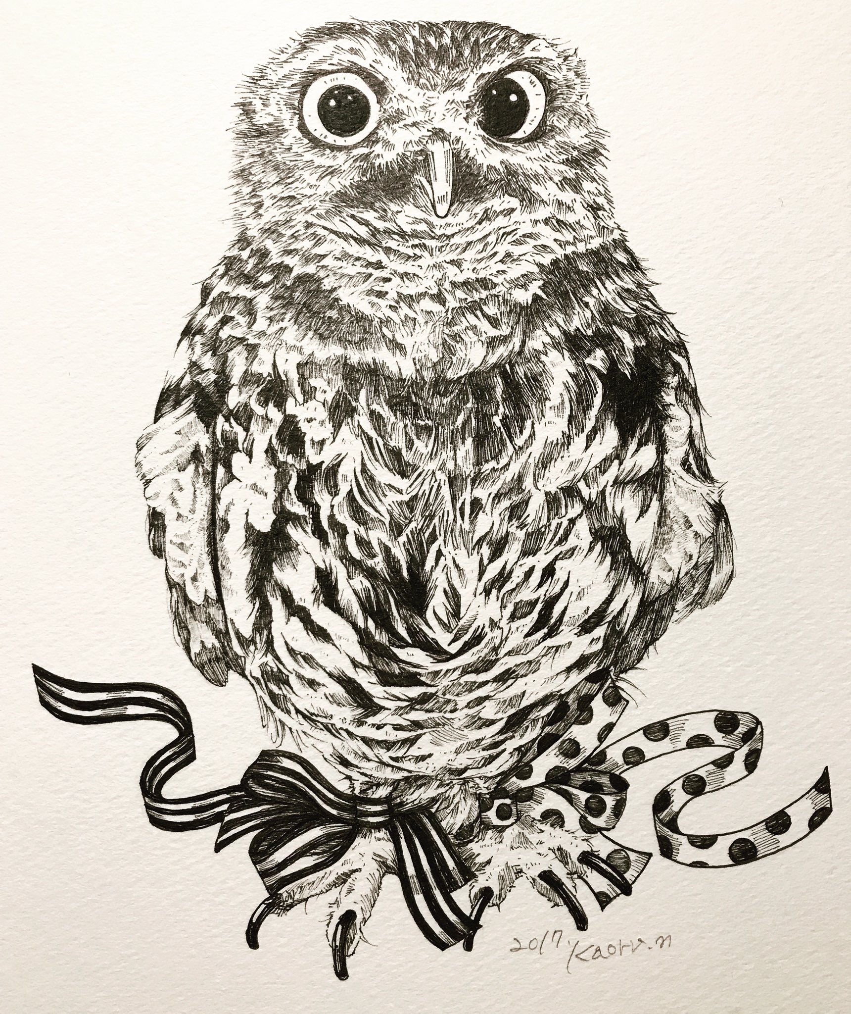 Kaoru Skn浪漫缶 低浮上 フクロウ のイラスト完成しました 次はハシビロコウさんかヒョウモントカゲモドキにするか悩み中です ペン画を流してペン画民を増やそう フクロウ イラスト ペン画 T Co Uwbu9cmgo1 Twitter