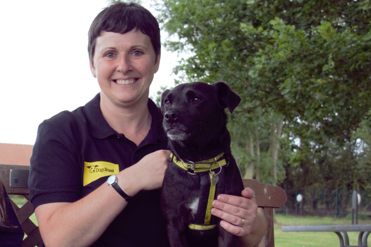 DT_Shrewsbury's tweet photo. @telfordlibs @ShropLibraries meet Alison & her dog Bertie at #Newport library tomorrow 2-3pm for barking mad #animalagent fun #dogstrust https://t.co/ReGnpvmEOq