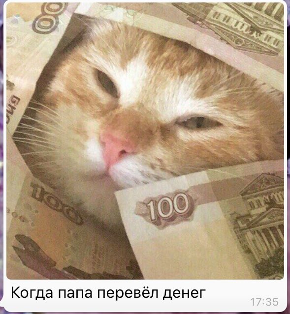 mvtupka's tweet photo. Шняга шняжная жизнь взросляшная https://t.co/8GZRFklP8F
