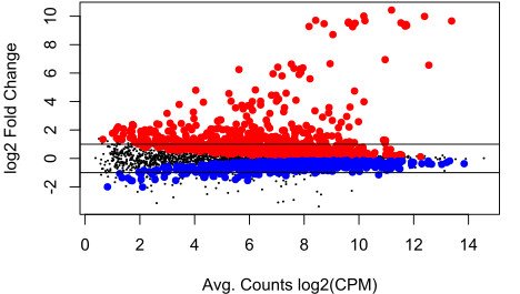 Anthony Gaca tweet media