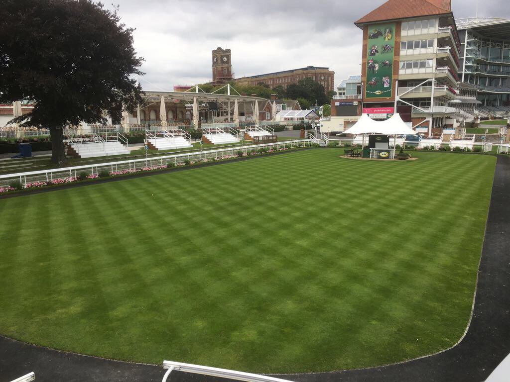 The Parade Ring <a href="/yorkracecourse/">York Racecourse</a> looking fantastic ahead of #ClassicEbor