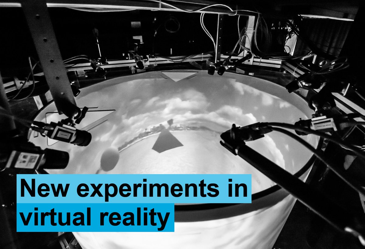 VR-simulator revolutionises collective behaviour research. Team: #unikonstanz <a href="/icouzin/">Iain Couzin</a>+<a href="/unifreiburg/">Universität Freiburg</a>.<a href="/naturemethods/">Nature Methods</a>. bit.ly/2wquYdj