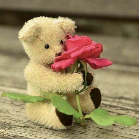 45funfactory's tweet image. #NewProfilePic