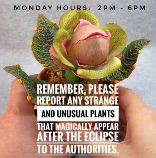 Beware of strange plants appearing after the eclipse today! #Eclipse2017