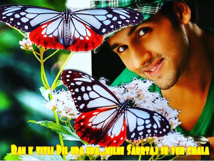 FcSarrtajgill's tweet photo. Want u back onscreen @SarrtajGill plz comeback soon we all miss uhh..💖
@hoareaudominiq1 @RiaRam7 @anki_Sarrtajian @shibani_4 @priyachopra27 https://t.co/zKtZbQGMTc