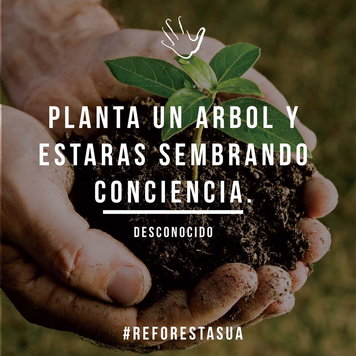 Este sábado 26 de agosto ven a REFORESTAR! 8:00 a.m. salimos de <a href="/anahuac/">Anáhuac Campus Norte</a> campus norte! 
Más info 👉🏻bit.ly/2uYkqlw
