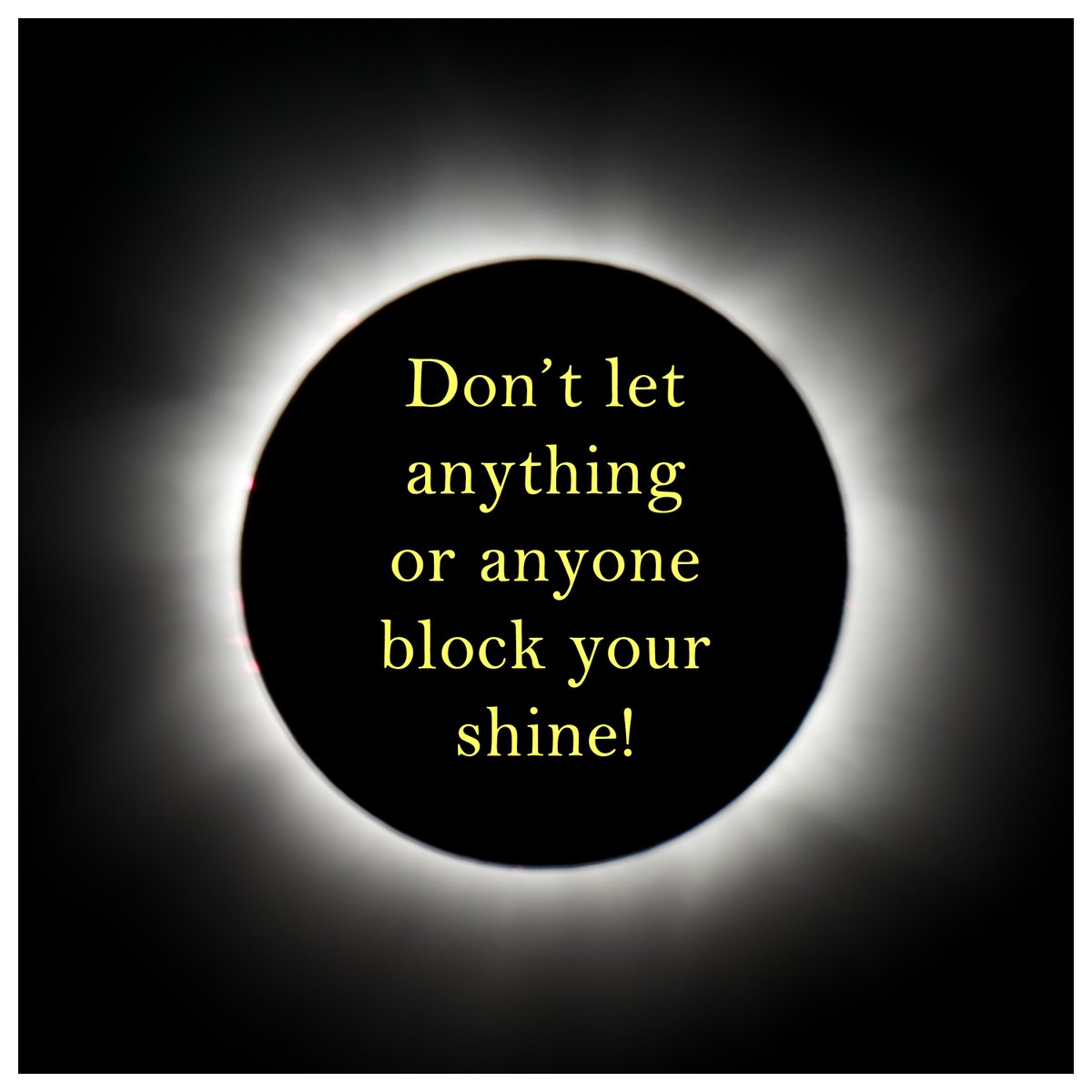 Coats4Canines's tweet photo. #MondayMotivation

Don't let anything or anyone block your shine! 

#Eclipse https://t.co/JRIYUVVbzx