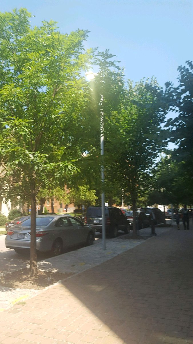 NorthCarolinaEE's tweet photo. @NCDEQ The trees along the Dawson Street side of @NCDEQ put on a great show, and it was dark enough to turn on the street lights. #NCeclipse https://t.co/2mplNcyzG8