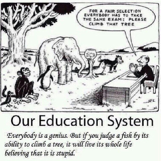 essentiallytiff's tweet image. An education system with no real system! #standardizedtesting #moreteaching #notonesizefitsall #whatsastandardmind #theresabetterway