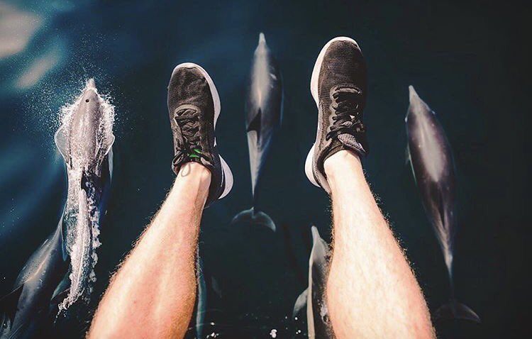 OceanObsessions's tweet image. quality escort