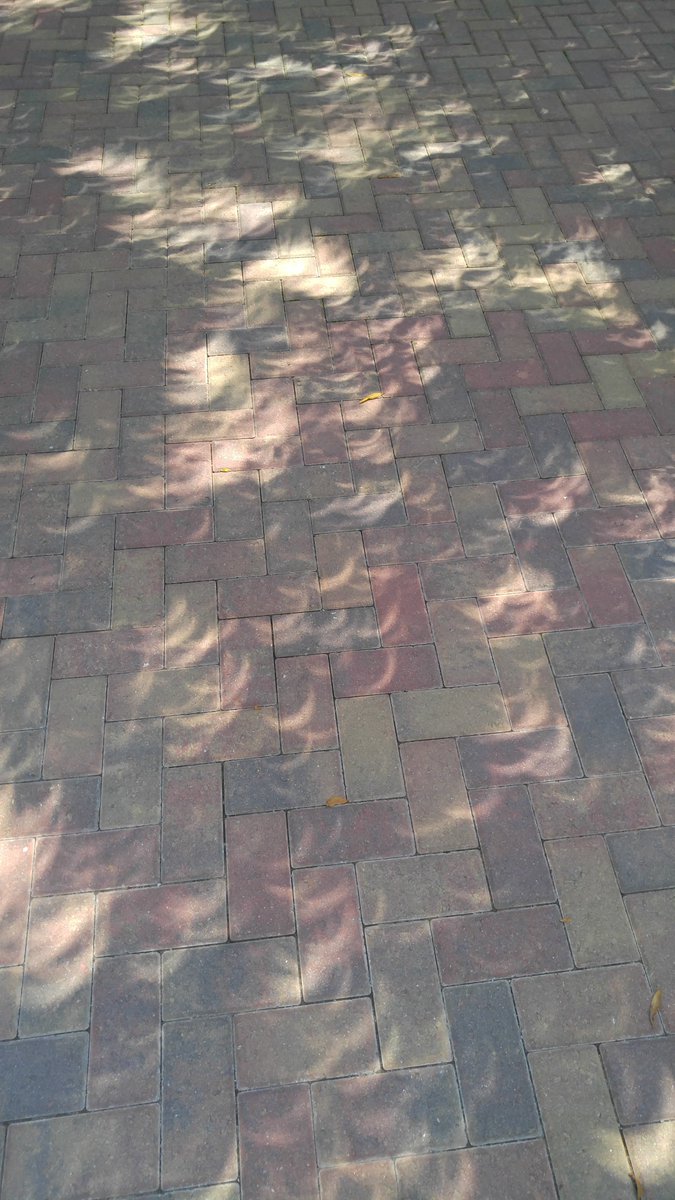 FCS Transportation tweet media