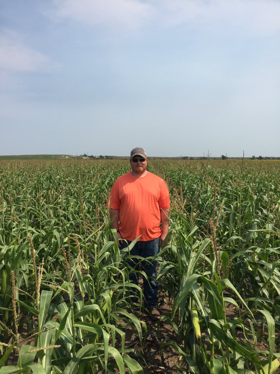 okkefromuskogee's tweet photo. Crop is pretty short in these parts #imnotthattall https://t.co/5kPLgM1qsO