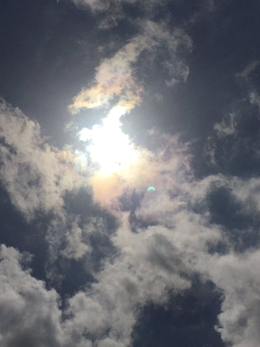 flarepublican's tweet photo. #solareclipse #GreatAmericanEclipse2017 #FloridaEclipse https://t.co/6iiXXsdqxG