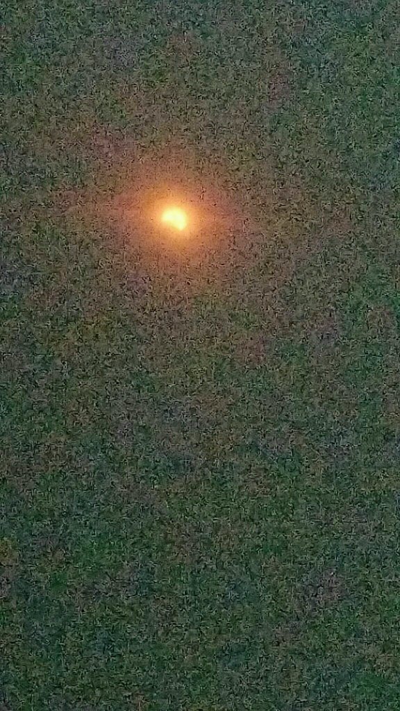 the_negrosaurus's tweet photo. #eclipseon7 https://t.co/x8wLNR7vil