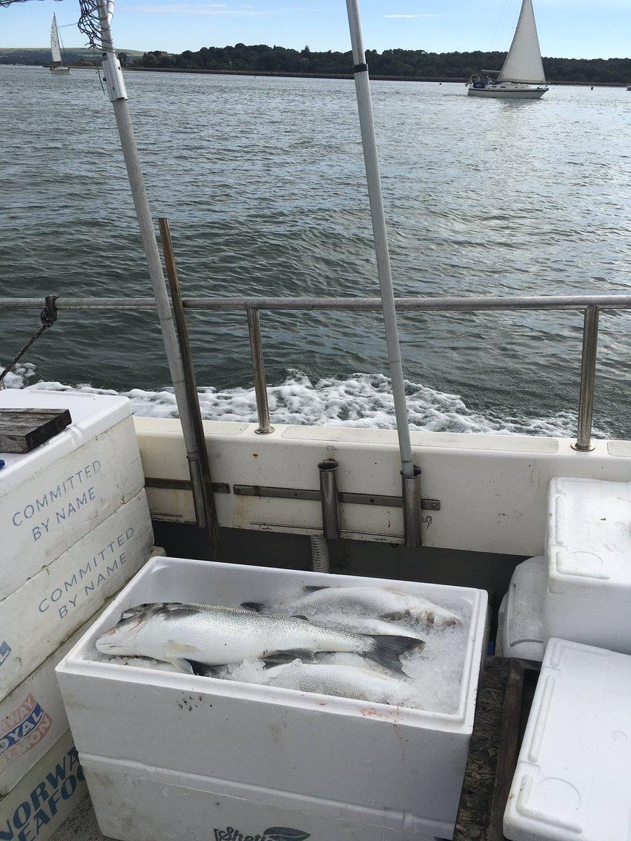 Beautiful Rod and Line caught Bass on its way to <a href="/mjseafood/">M&J Seafood 🐟</a> Wimborne #sustainable 🐟🐟🎣🎣