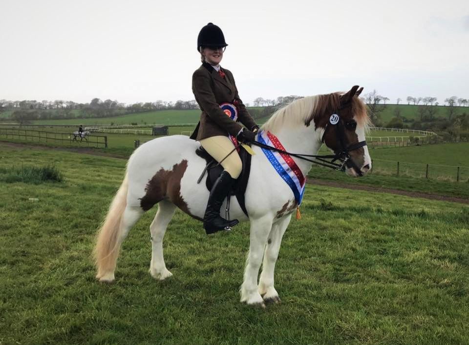 Some of our Scottish qualifying competitors #veteranhorsesociety #veteran #horses