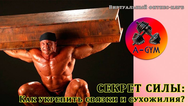 Упражнения для укрепления суставов и сухожилий. Коллатеральная связка локтевого сустава. Локтевой сустав строение связки. Упражнения для укрепления мышц после растяжения голеностопа. Надколенник коленного сустава строение.