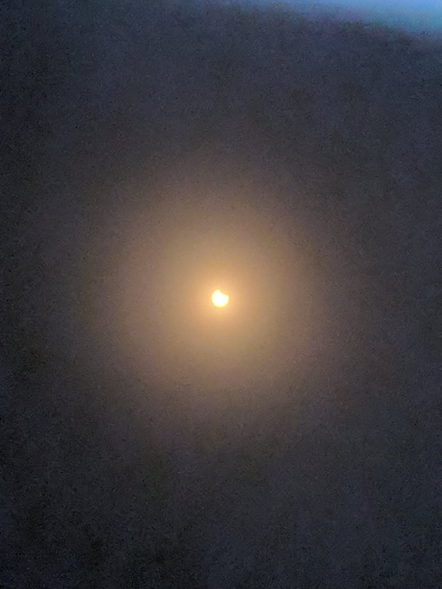 MachineEmpath's tweet image. It has begun