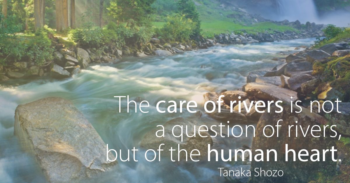 sharing_nature's tweet photo. “The care of rivers is not a question of rivers but of the human heart.” Tanaka Shozo. #naturelove #sharingnature https://t.co/vHI6UcKfaH https://t.co/fml2PmZm4S
