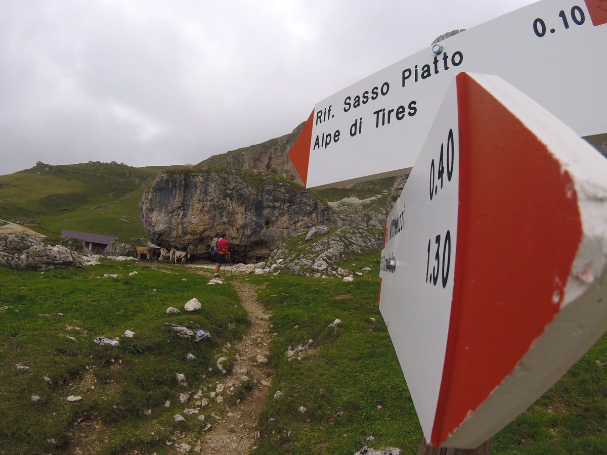Sul sentiero verso Sasso Piatto #valdifassa #dolomites #italy #trekking <a href="/DolomitesUNESCO/">Dolomites UNESCO</a> <a href="/VisitTrentino/">Visit Trentino</a>