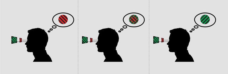 Creative people do actually see the world differently. Here's why wef.ch/2vSbkFJ