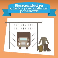 ¿Cómo está la bioseguridad en sus #GranjasAvicolas? ow.ly/UN1R30ehMxm