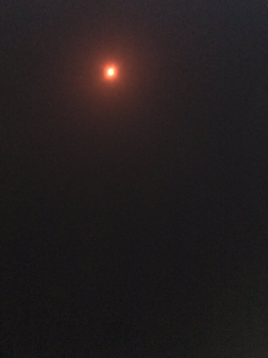 ImSoyCornfused's tweet image. Your source for #NotProfessional #Eclipse17 photography! 😎🤣😎