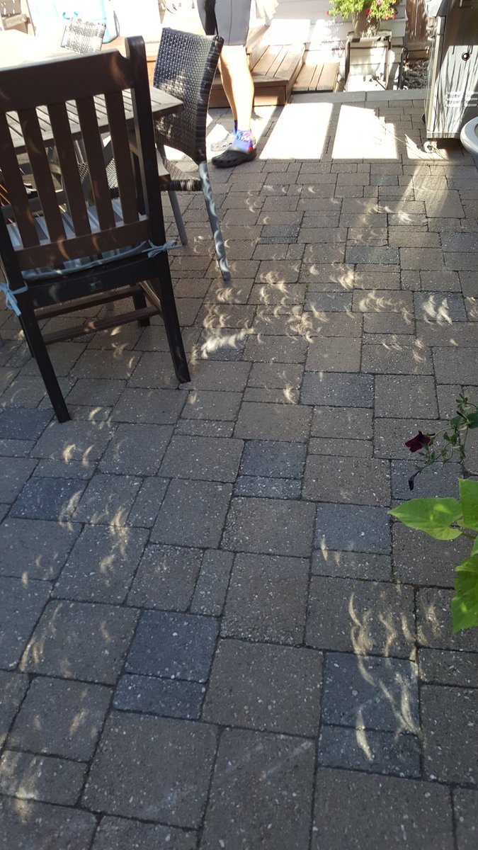 BBaydala's tweet photo. Solar eclipse projected through leaves in my backyard #Eclipse https://t.co/6Ugaoa7zHE