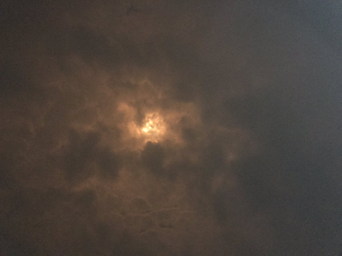 harlantones's tweet photo. E-Town is out and about!#ESHSEclipse https://t.co/pG74DVSDeZ