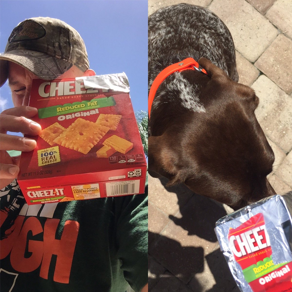 fyrftr03's tweet photo. Watching the #elipse2017 while using my favorite food box!! @BigCheezeIN #safteyfirst #dogswatching @HumaneBroward @WPLGLocal10 @wsvn @ https://t.co/AsJ2MdahDD