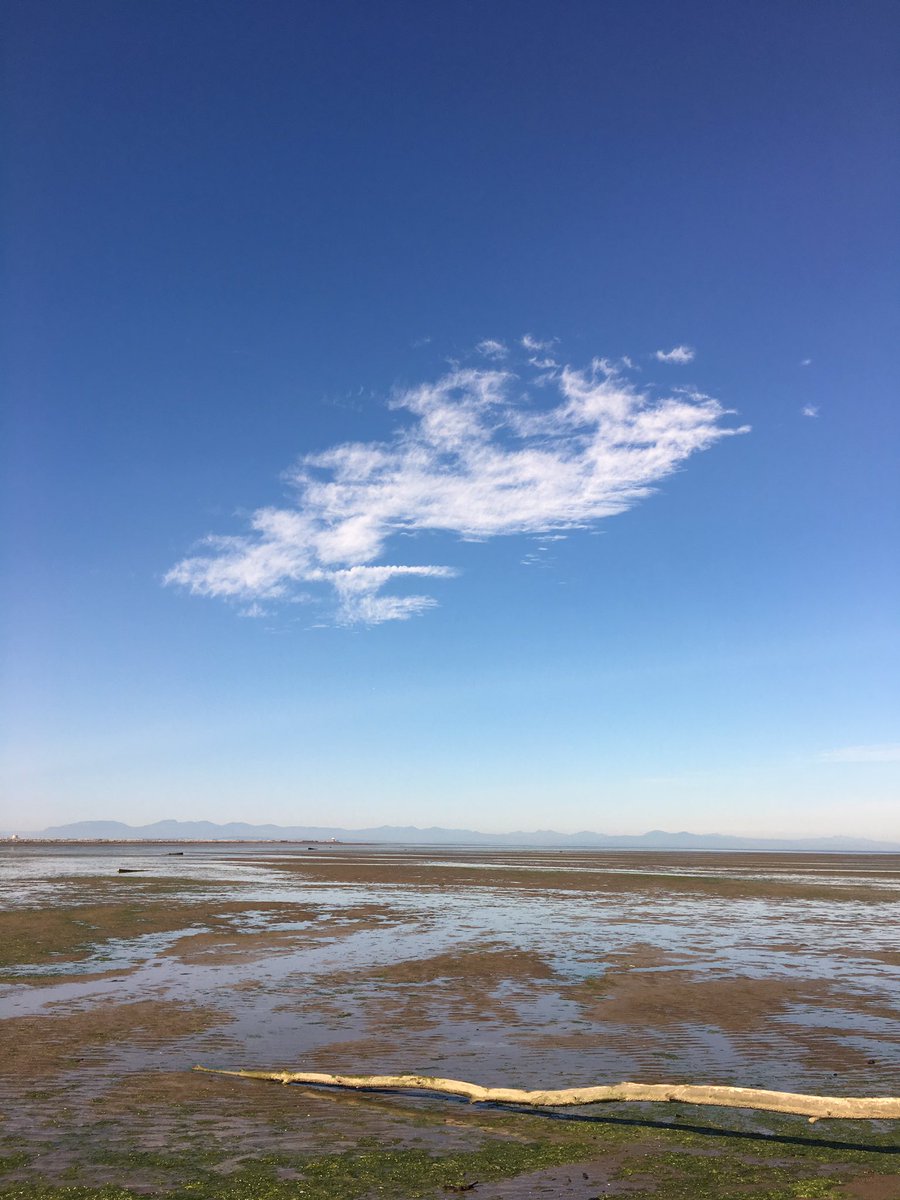 chalainee's tweet image. This is how dark it got during the #eclipse in Vancouver 🙄 #iwantmymoneyback